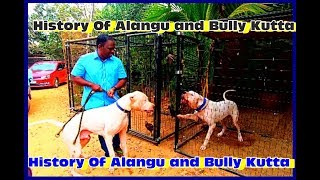 History and origin of Tamilnadu Alangu Dog and Bully Kutta அலங்கு நாய் [upl. by Boyce66]