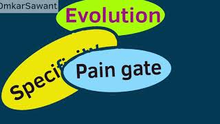 PAIN THEORIES SIMPLIFIED [upl. by Pelmas]