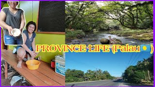 Province LifeofwPalau vlog [upl. by Yllus]