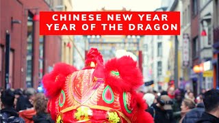 📍 ANTWERP  Chinese New Year 2024 🐲 Year of the Dragon 🐉✨️ Antwerp Belgium [upl. by Meunier]