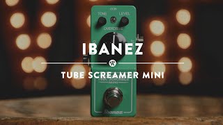 Ibanez Tube Screamer Mini  Reverb Demo Video [upl. by Lon]