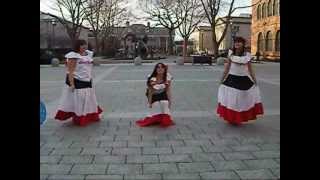 Baile Celebrando La Independencia Dominicana [upl. by Aneleiram]