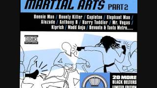 Martial Arts Pt2 Riddim Mix 2002 By DJWOLFPAK [upl. by Kohsa372]