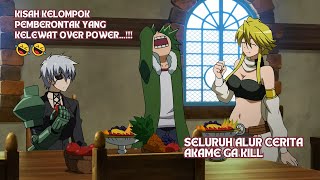 Kelompok Pemberontak yang Over Power Seluruh Alur Cerita Akame Ga Kill [upl. by Jillene]