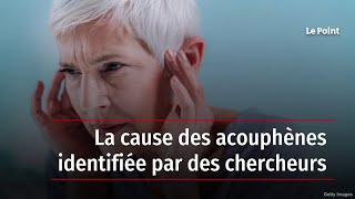 La cause des acouphènes identifiée par des chercheurs [upl. by Boleslaw]