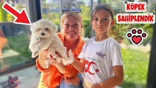 Vlog  Ada Köpek Sahiplendi 🐾🐶 [upl. by Wicks]