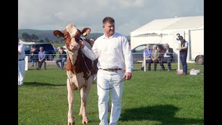 Holstein Heifer inmilkDumfries Show 2024Logan Latenite Shania VG89 [upl. by Wolfort]