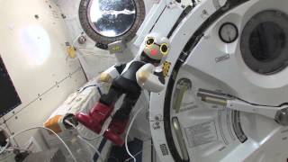 Kirobo Speaks Japanese Talking Robots First Words In Space  Video [upl. by Larson]