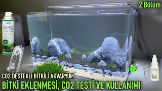 Co2 Destekli Bitkili Akvaryum  Bitki Eklenmesi Mini Parvula CO2 Testi ve Kullanımı  2Bölüm [upl. by Dewitt]