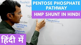 Pentose Phosphate Pathway  Hexose Monophosphate Shunt in Hindi [upl. by Aciras]