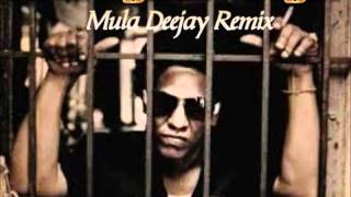 Tego Calderon Ft Gallego  Yo tengo un Angel Mula Deejay Remix [upl. by Smaj]