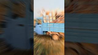 Bajaj Maxima XL Cargo CNG ⛽cng travel trending song bajajmaximacargo farming [upl. by Kehsihba]