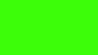 CINEMATIC FLASH EFFECT GREEN SCREEN  Flash Effect [upl. by Almallah]