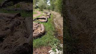 Sluice gate in action linked to clay ponds uk permaculture site permaculture nature tigwelding [upl. by Mallorie344]