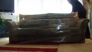 How to Shrink Wrap a Couch with MoveWrap [upl. by Timrek]