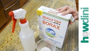 How to Kill Mold with Borax [upl. by Anayet]