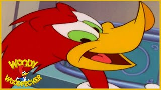 Woody Woodpecker  Woody Woodpecker laugh  Try not to laugh   Kids Cartoon  Videos for Kids [upl. by Maynord]