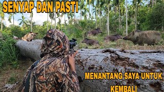 INI AKIBATNYANEKAT KELUAR SIANG BOLONG [upl. by Anikahs]