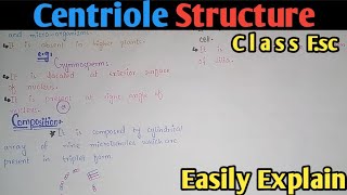 Centriole Structure Functions And Composition  Class 11 Biology [upl. by Nilo443]