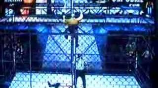 Rikishi Superfly splash from the top of the cage [upl. by Ennylyak]