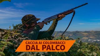 Colombacci 2020 caccia dal palco con Baschieri amp Pellagri Balistite calibro 20 [upl. by Ettolrahc]