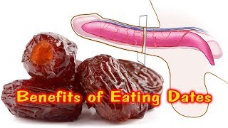 WHAT IS THE BENEFITS OF EATING DATES PROMOTING HEART BRAIN AND DIGESTIVE HEALTH [upl. by Ydneh]