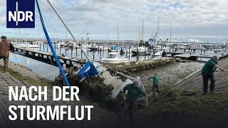 SchleswigHolstein Nach der JahrhundertSturmflut  Die Nordreportage  NDR Doku [upl. by Mixie]