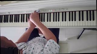 Richard Clayderman  Les Colombes du Ténéré Cover [upl. by Eleen]