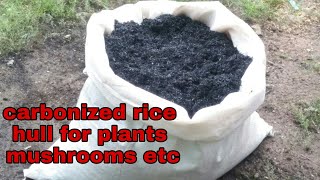 carbonized rice hull for plants mushrooms etc [upl. by Ahsircal]