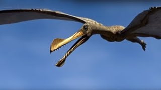 King of the Skies  Walking with Dinosaurs in HQ  BBC Earth [upl. by Ware360]