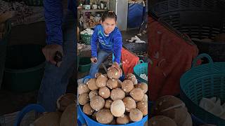 Thai Girl Peeling Dried Coconut  Fruit Cutting Skills [upl. by Combes]