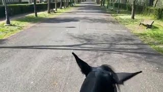 Villa Borghese deserta nel silenzio si sente solo il rumore degli zoccoli dei cavalli della polizia [upl. by Kwang281]