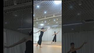 Amazing Dancers 古典现代舞 Classical Contemporary Dance 李秀兰 Li Xiulan 158的跳舞精 15 [upl. by Eibor]