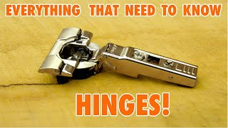 Cabinet Door Hinges  Everything you need to Know [upl. by Ylrebmek]