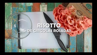 Fungiar  Risotto de Gírgolas Rosadas [upl. by Onaicilef]