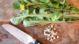 How to harvest prepare and use dandelion leaf and root for beauty and health [upl. by Elsie]