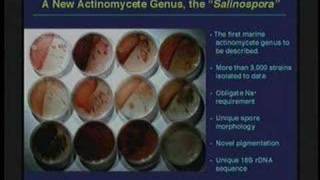 Bacteria Fungi Protozoa and Nematodes from soil [upl. by Kenleigh529]