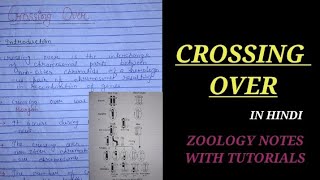 CROSSING OVER IN HINDI crossingovernotes geneticsnotes bsczoology zoology ZOOLOGYNOTES bio [upl. by Notsek]