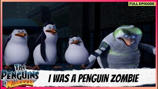 The Penguins of Madagascar  Full Episode  I Was a Penguin Zombie [upl. by Ahsikram]