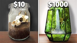 10 vs 1000 Terrarium Ecosystem [upl. by Squier]