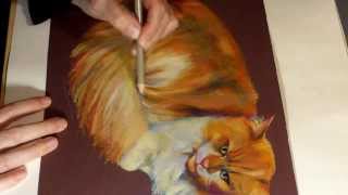 Speed Painting  Eine Katze zeichnen Drawing a Cat with Colored Pencils [upl. by Assille]