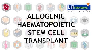 Allogeneic Haematopoietic Stem Cell Transplant [upl. by Sirkin]