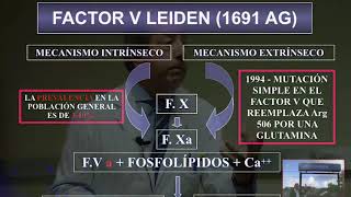 Trombofilia y embarazo [upl. by Havelock]