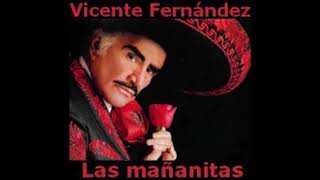 VICENTE FERNANDEZ LAS MAÑANITAS [upl. by Russon]