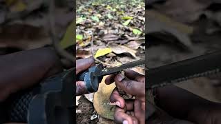 Survival bushcraft skills 🫡 shortsvideo bushcraft lifehack [upl. by Arratahs]