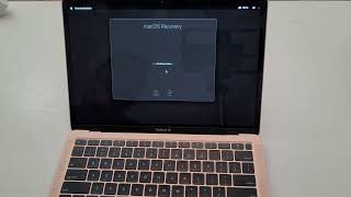 MacBook M1 ALL PASSWORDS LOST How to recover your Computer and reset passwords [upl. by Nerin]