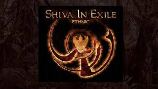 Shiva In Exile quotEthnicquot CD 2003  09 Hollow Earth [upl. by Lunn]