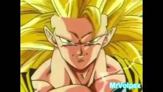 Ytp  Goku si batte contro Majinbabidi [upl. by Onairpic]