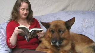 Wonder Dogs 101 German Shepherd Dog Films  book trailer [upl. by Orme159]