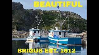 ACROSS CANADA IN CAMPER VAN BRIGUS NEWFOUNDLAND EP 13  EUROPEAN HERITAGE HOMES  VAN LIFE [upl. by Ecnesse]